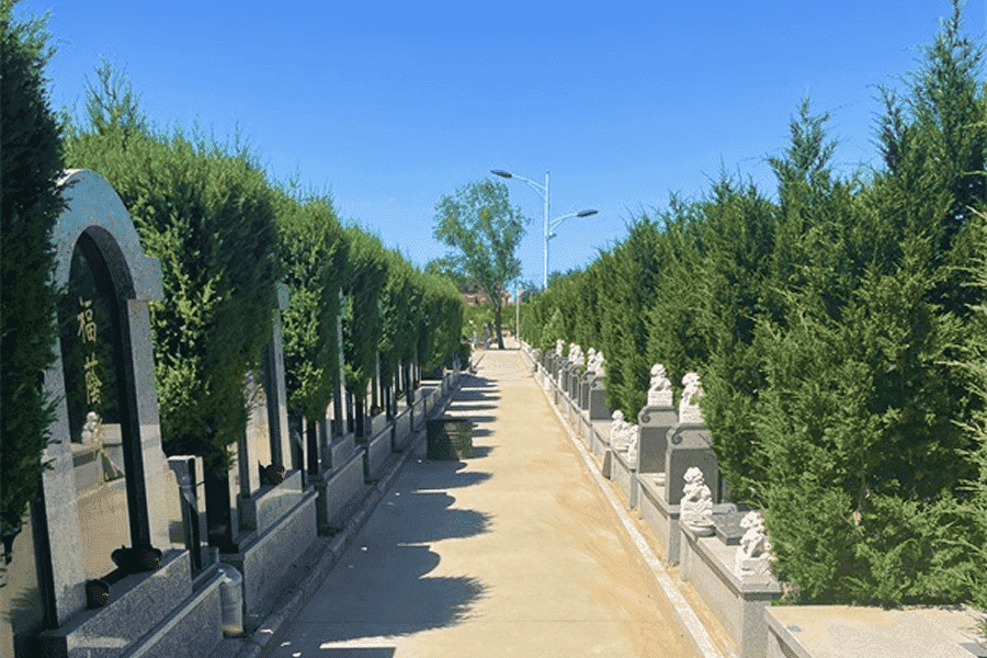陵园环境图